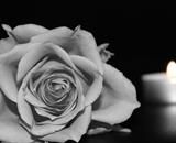 Dan žalosti na Sveučilištu u Splitu