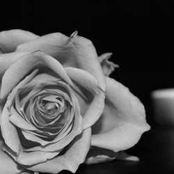 Dan žalosti na Sveučilištu u Splitu