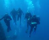 Ronjenje s autonomnom ronilačkom opremom - terenska nastava