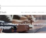 RAISE Youth on-line edukacije